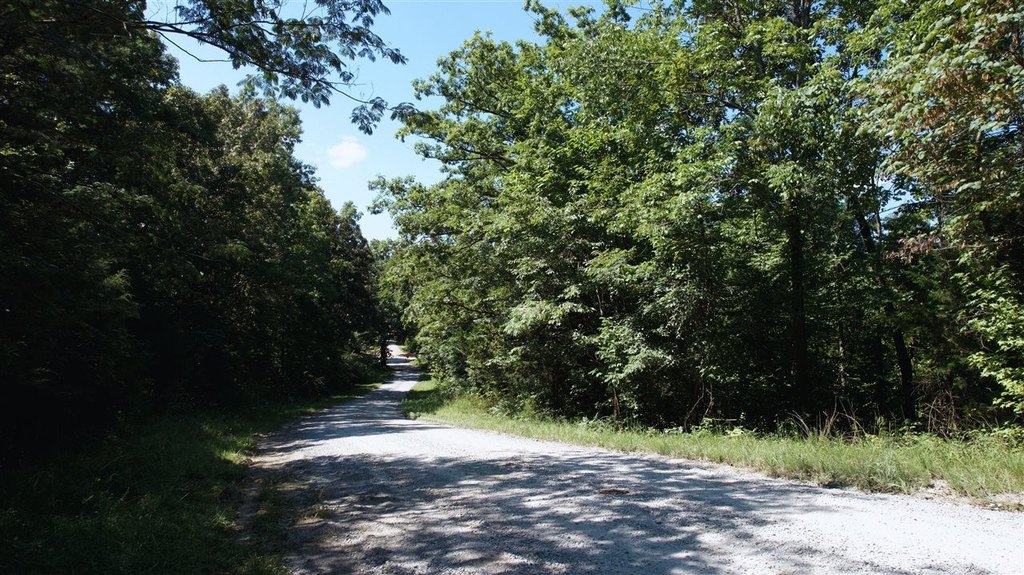 Picture 8
