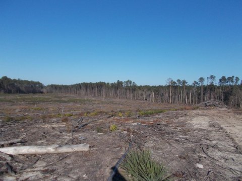 Recreational Land Overlooking Satilla River