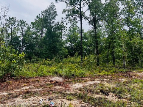 Keystone Heights Vacant Land