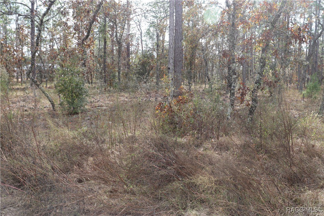 Dunnellon, FL Land For Sale