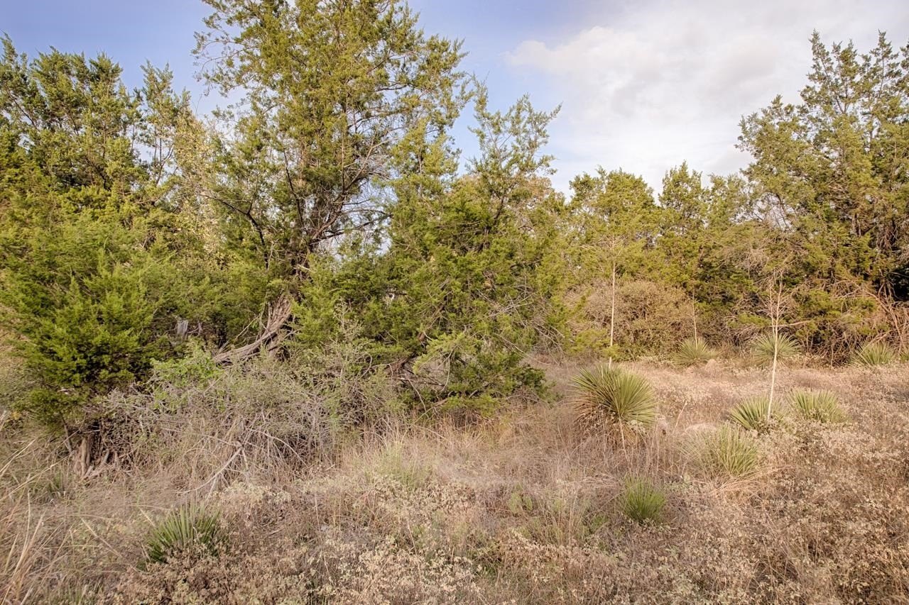 Kingsland, TX Land For Sale
