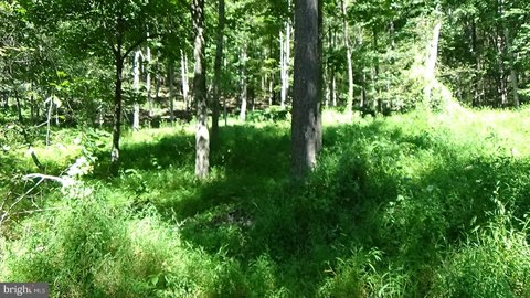 55 Acres Wooded Wildlife Paradise