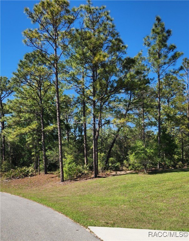 Homesite in Citrus Springs Community