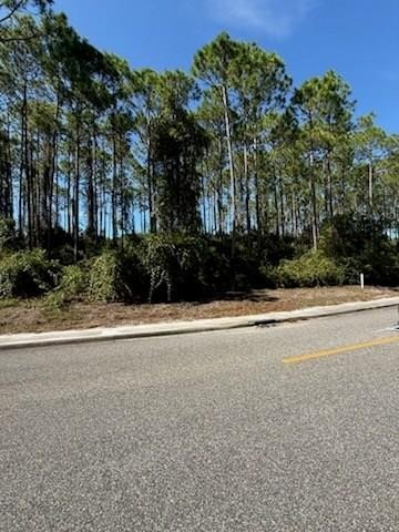 Carrabelle, FL Land Overlooking Pond