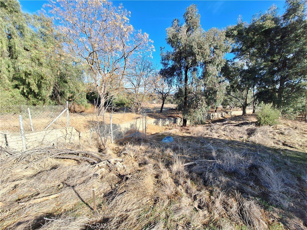 Picture 10