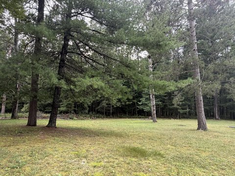 Residential Lot in Roscommon, MI