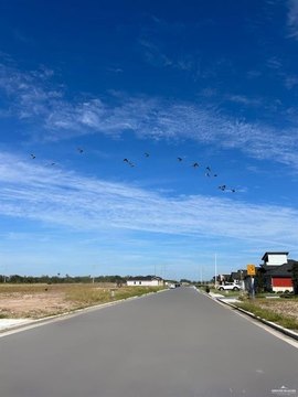 LAND - McAllen, TX