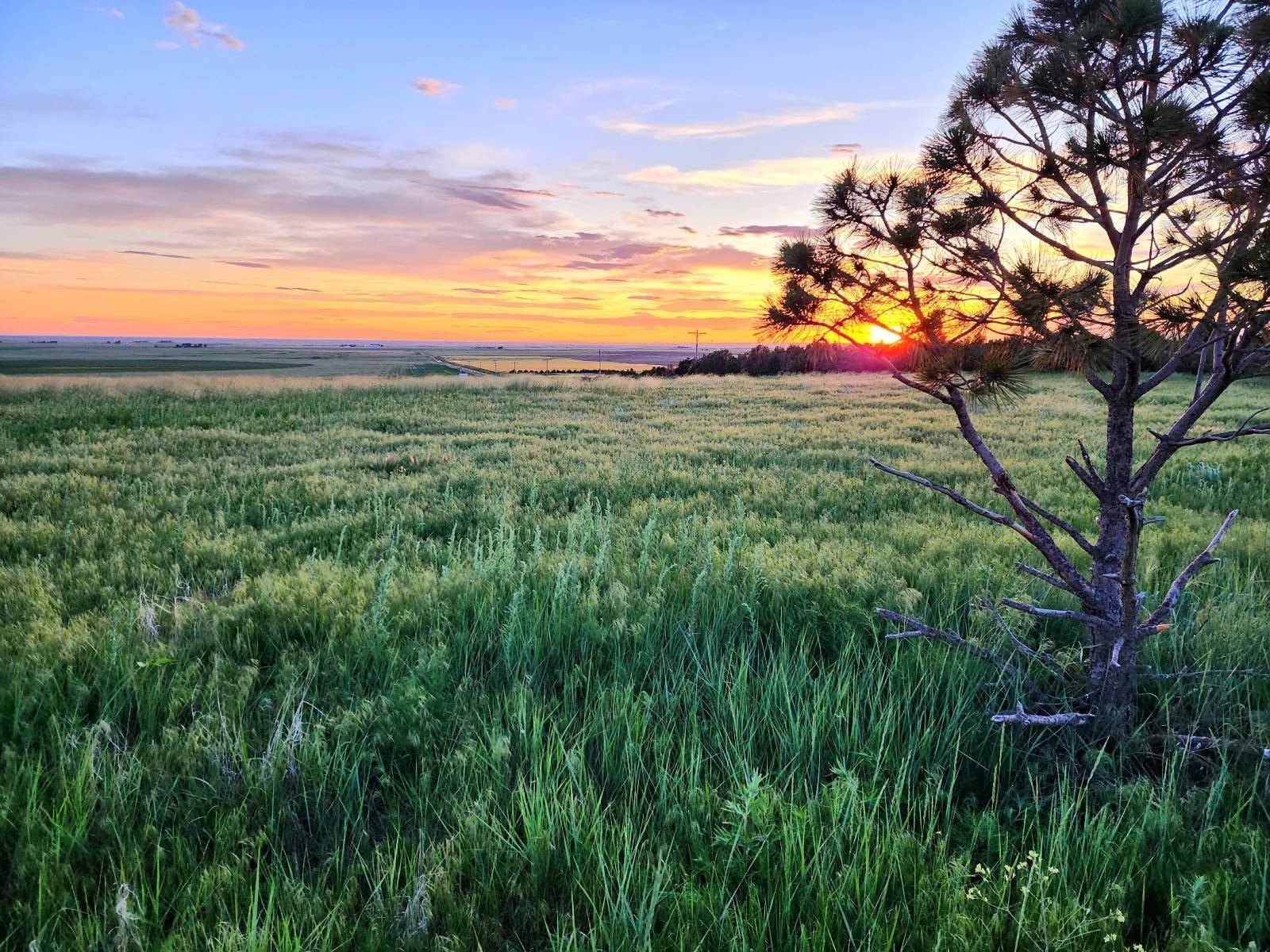 40 Acres Vacant Land