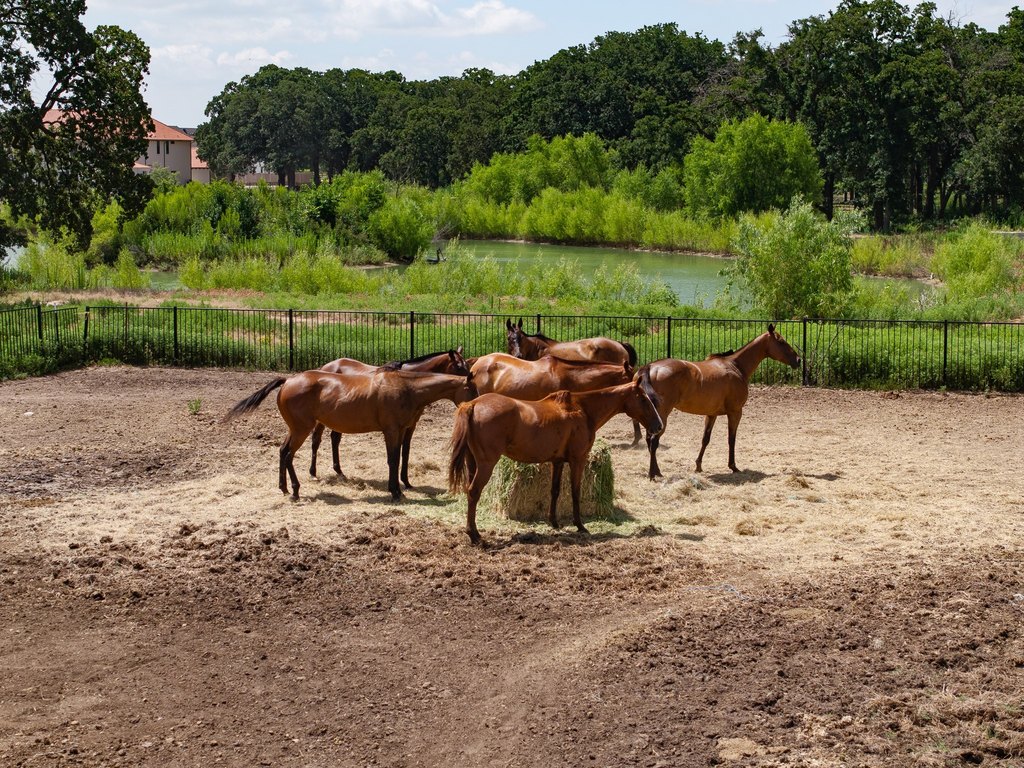 Picture 28