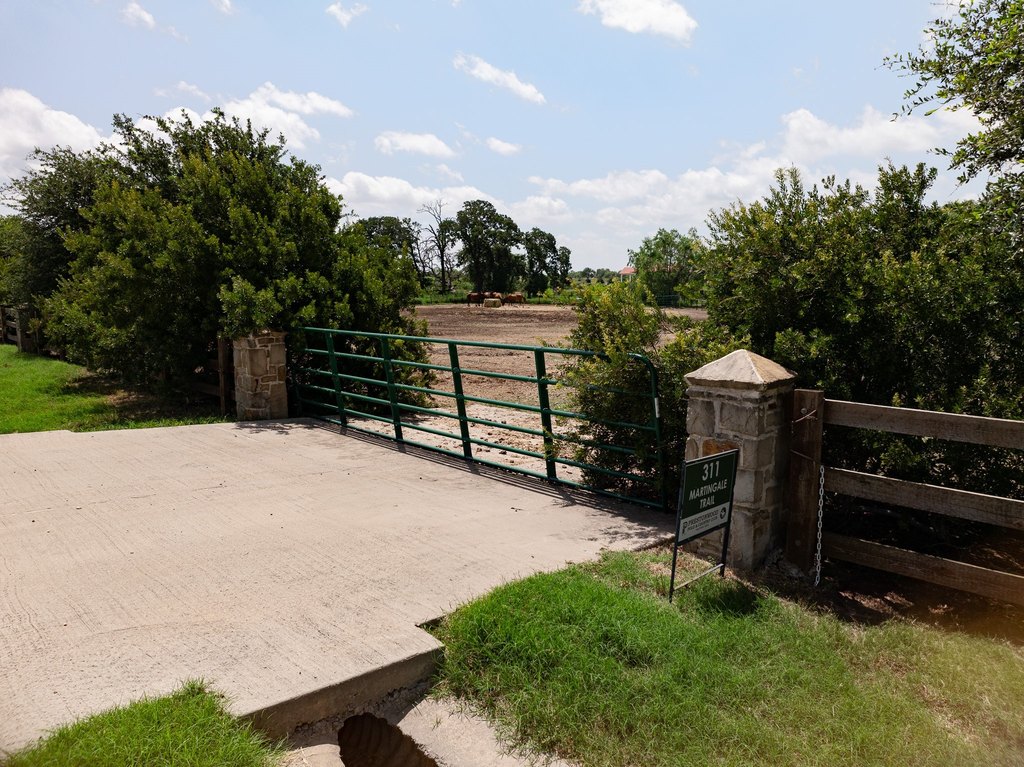 Picture 24