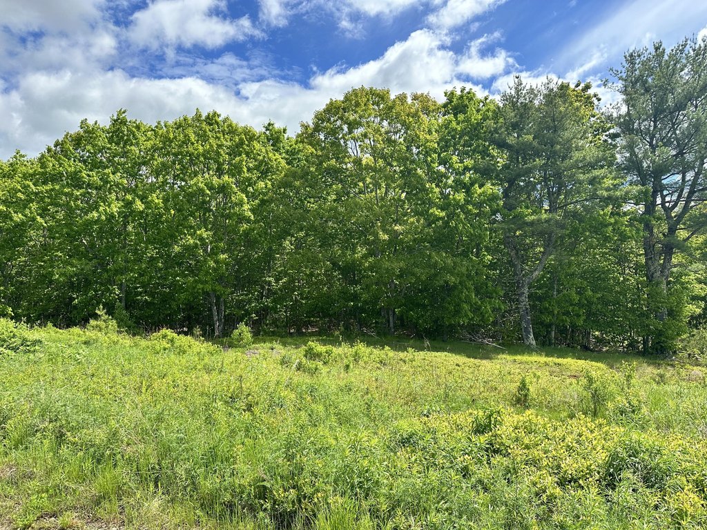 Picture 25