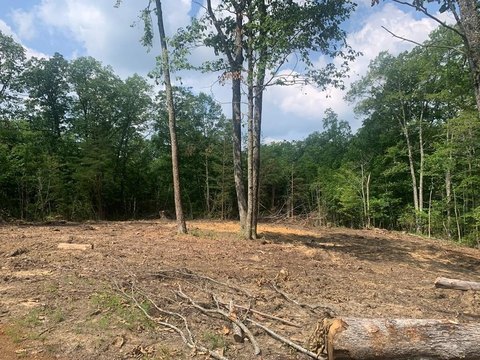 Wooded Lot in Hawks Bluff