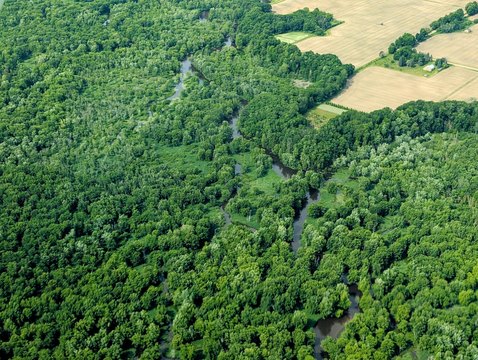 319 Acres on Pere Marquette River