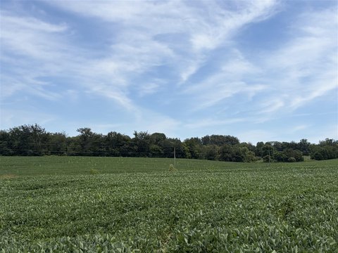 Open Agricultural Farm