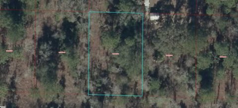 Vacant Lot in Williston, FL