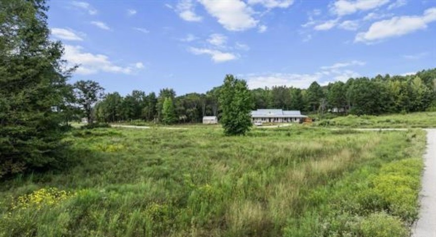 Picture 4