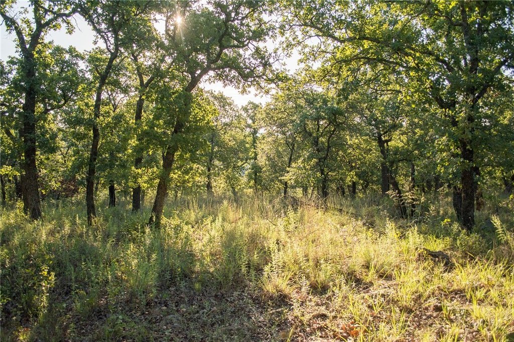 Picture 25