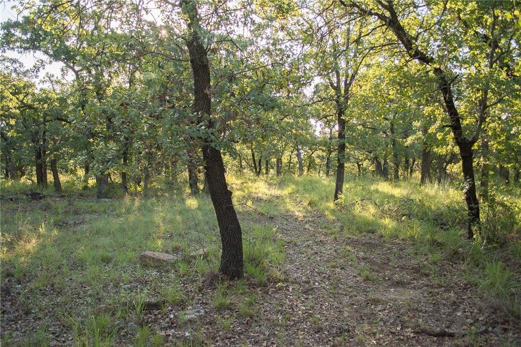 Picture 28