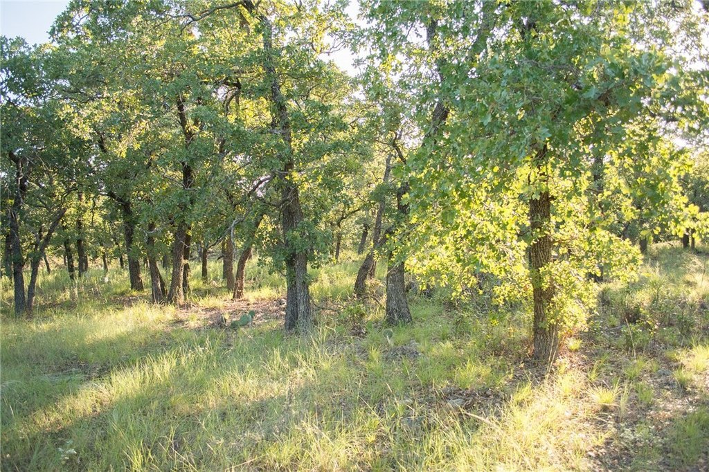 Picture 31