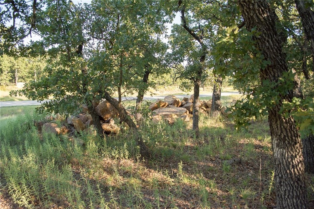 Picture 10