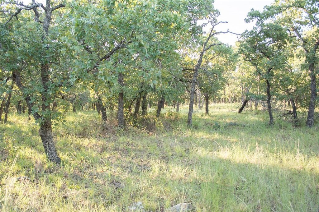 Picture 33