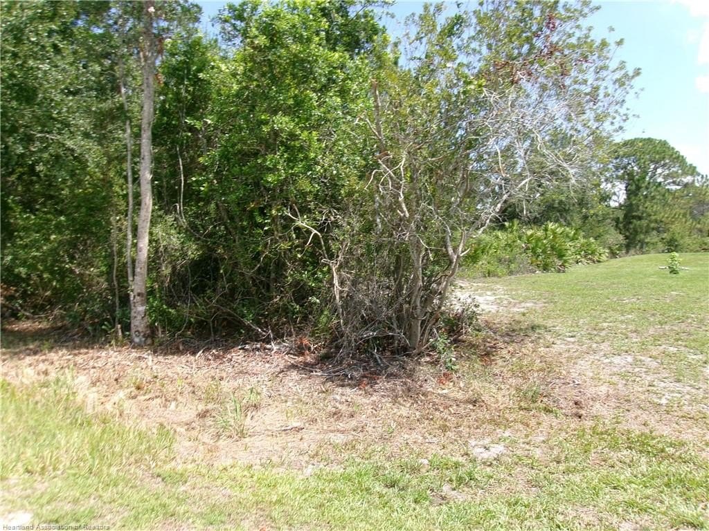 Picture 8