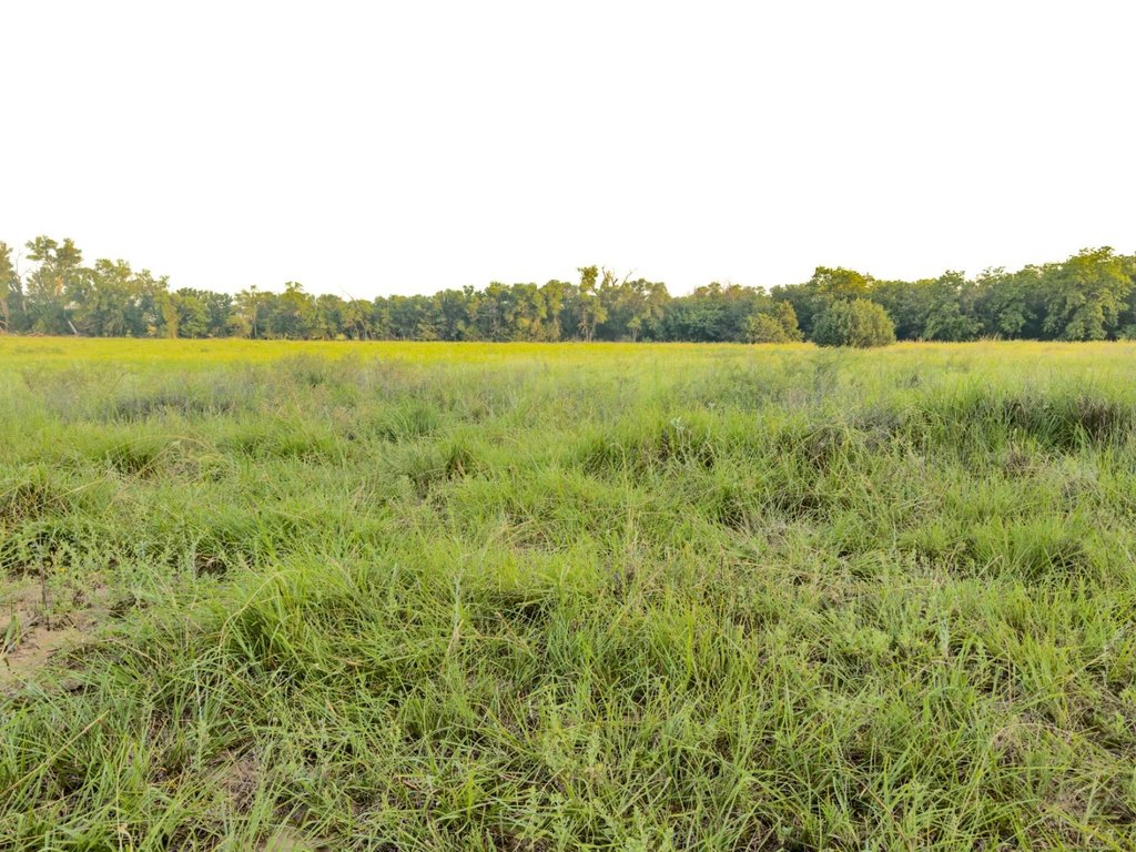 Picture 35