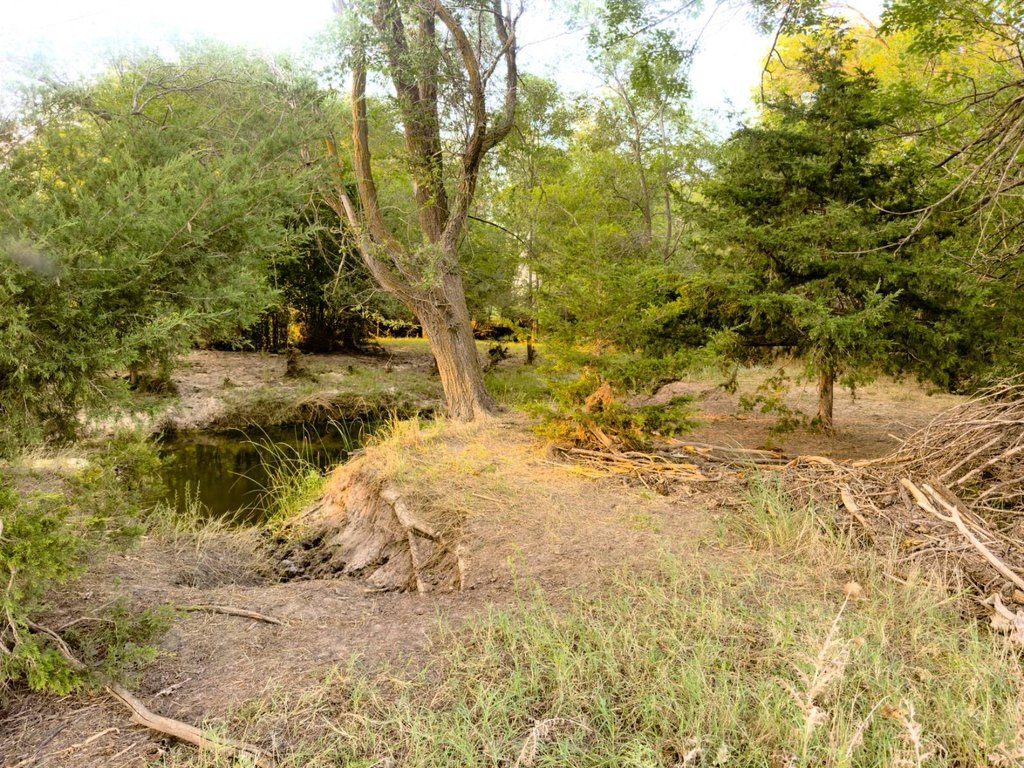 Picture 25