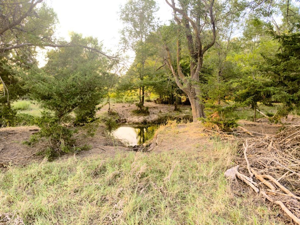 Picture 26