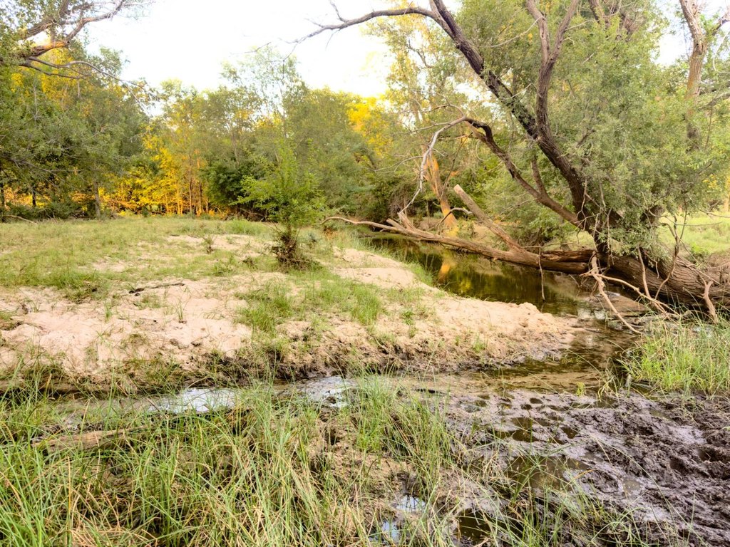 Picture 22