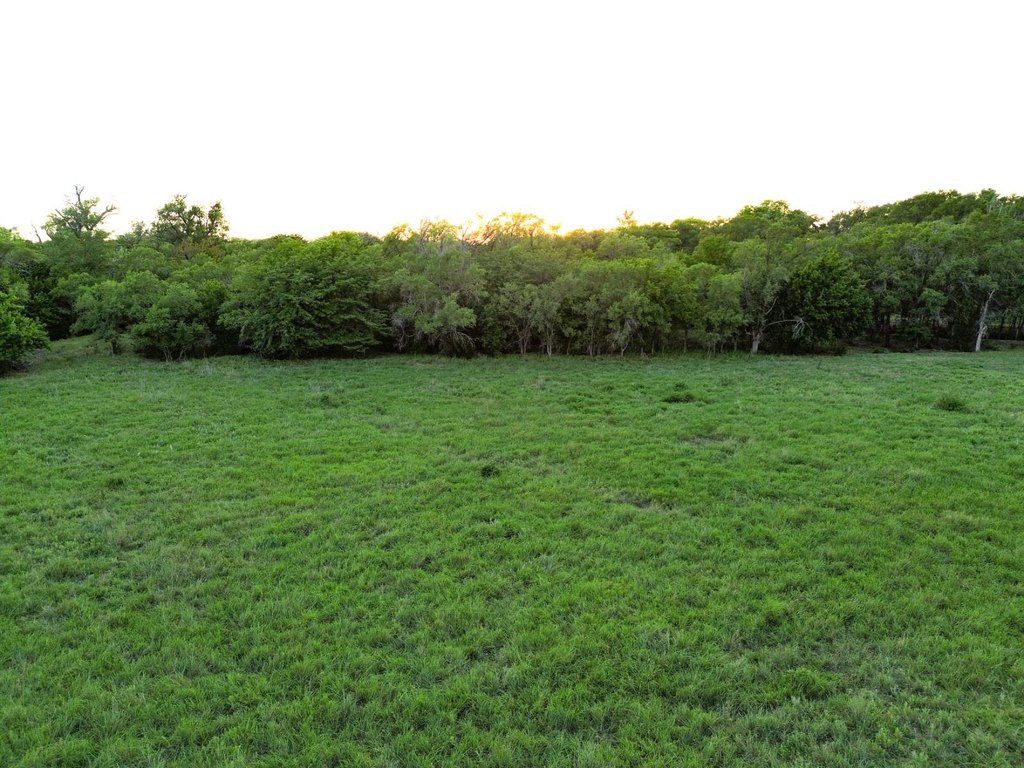 Picture 17