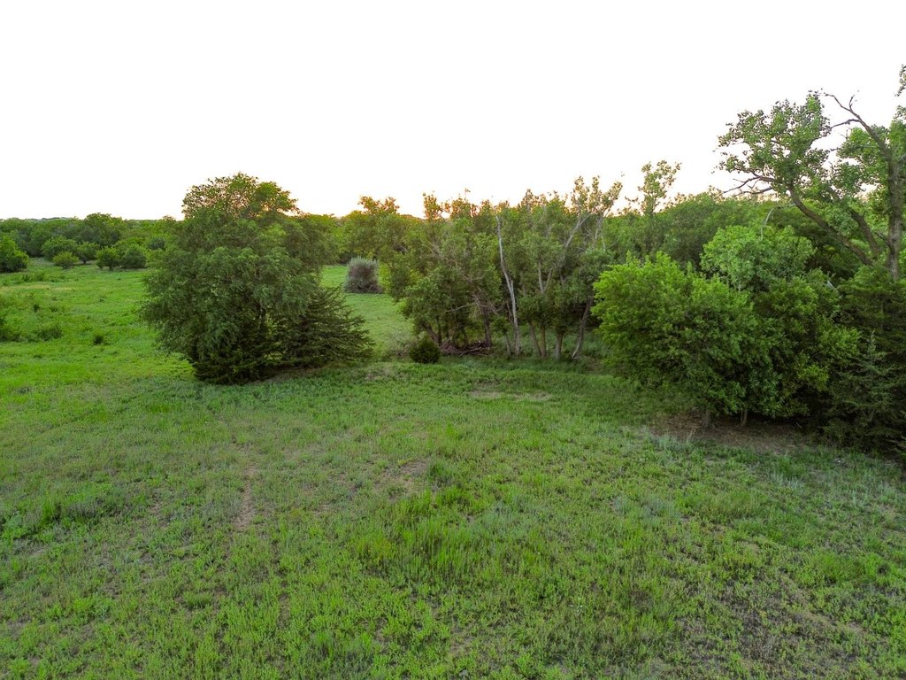 Picture 18