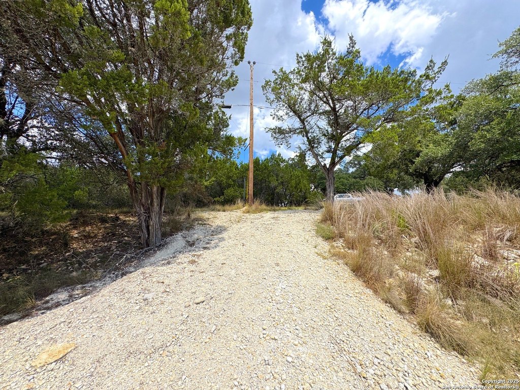 Picture 17