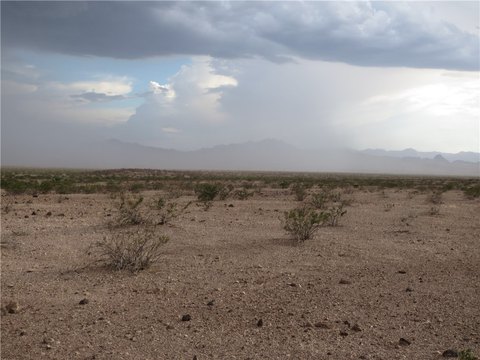 Secluded 40-Acre Arizona Land Parcel