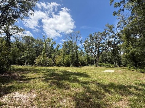 LAND - Old Town, FL