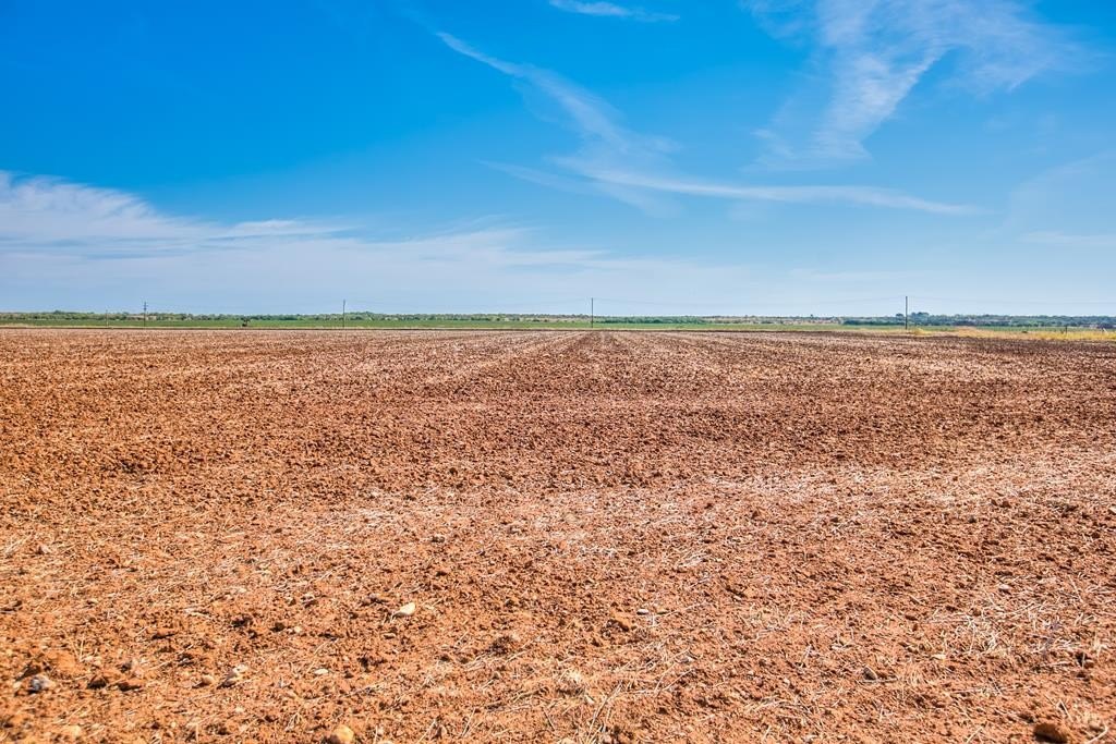 163 Acres Near Ballinger, TX