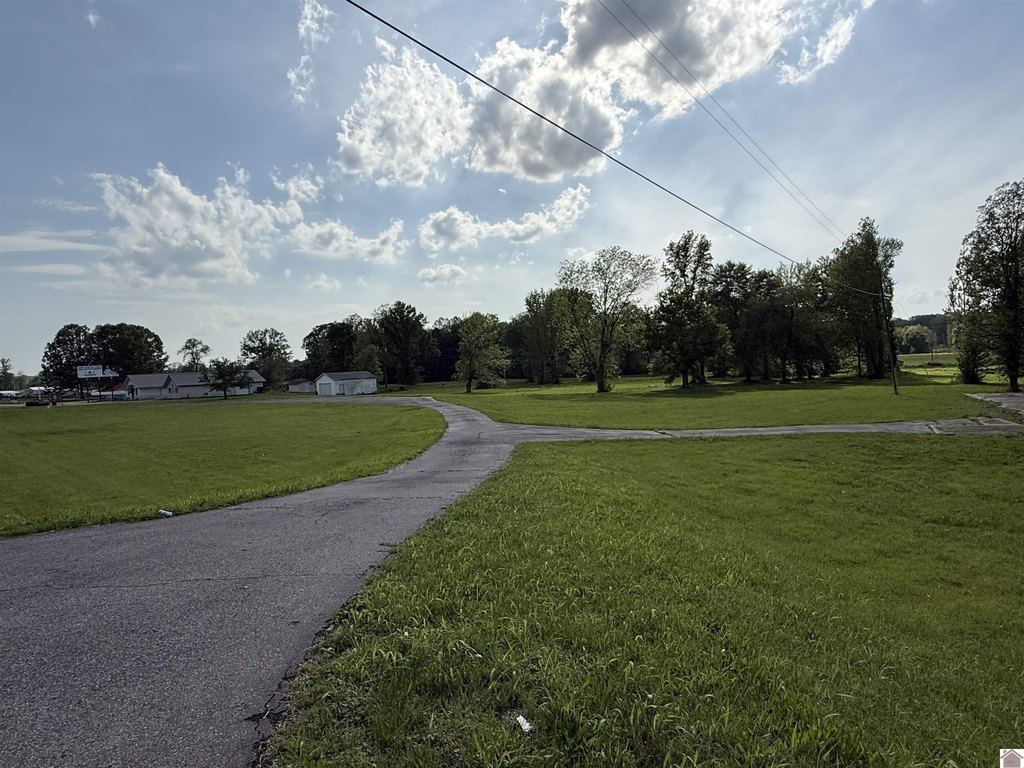Picture 15