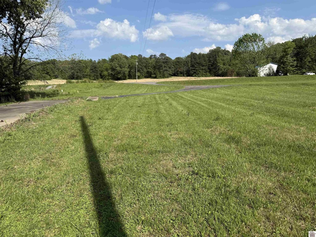 Picture 21