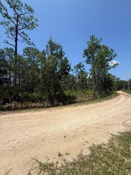 Half Acre Lot in Steinhatchee
