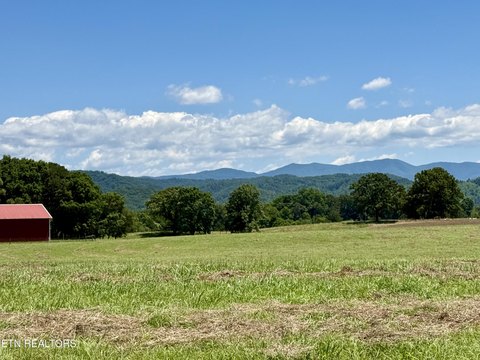 Tellico Plains Land Opportunity