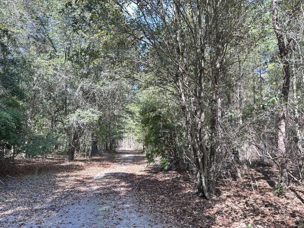 Picture 7