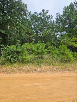 LAND - Eight Mile, AL