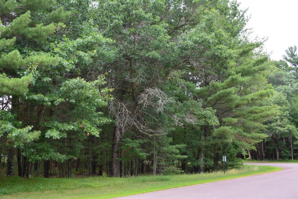Picture 8