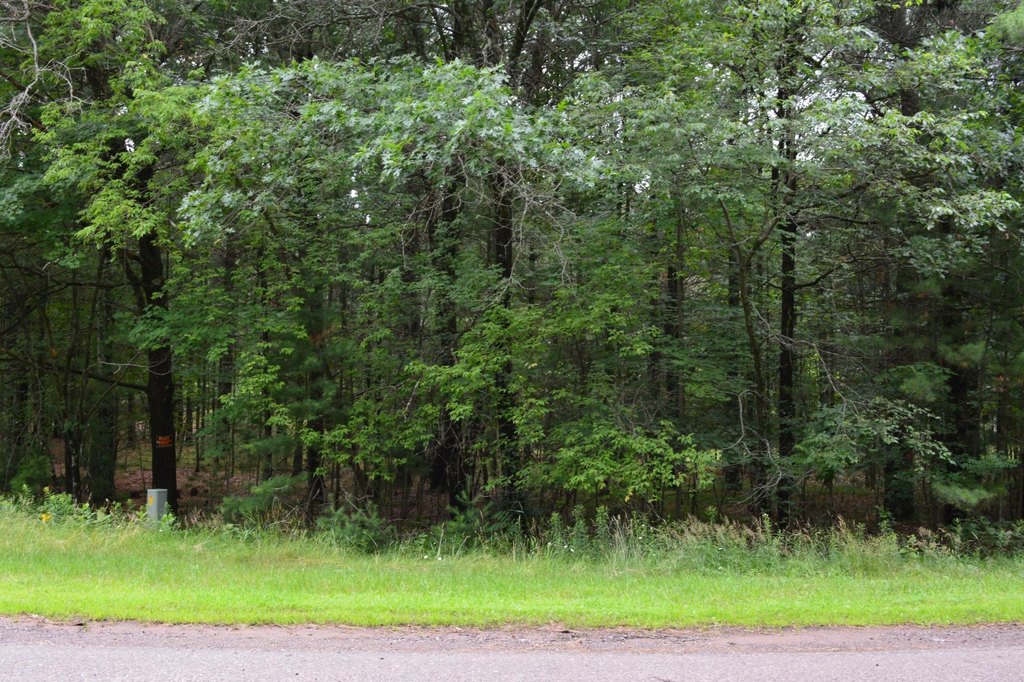 Picture 9