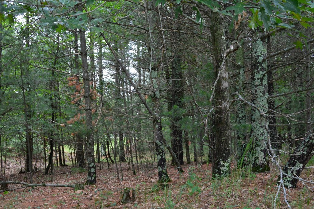 Picture 6