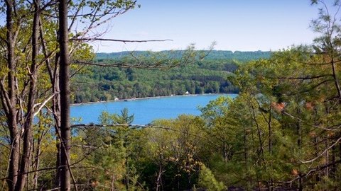 LAND - WALLOON LAKE, MI