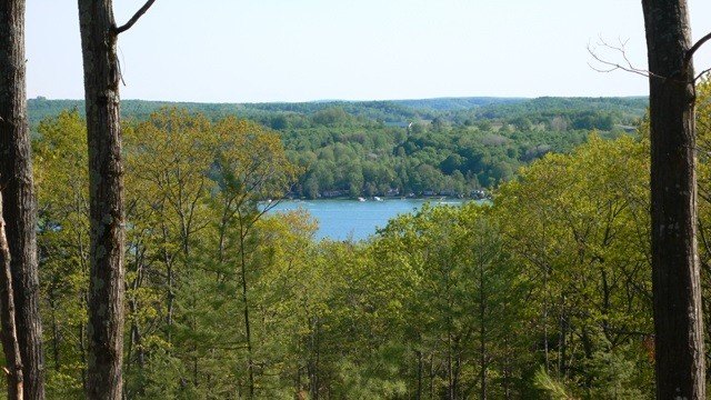 Picture 4