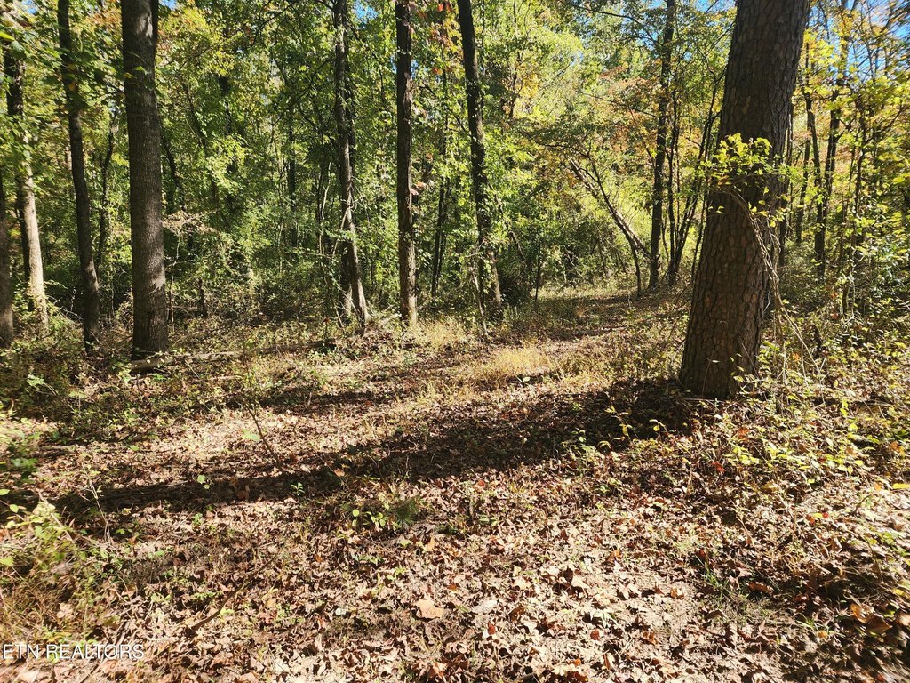 Picture 47