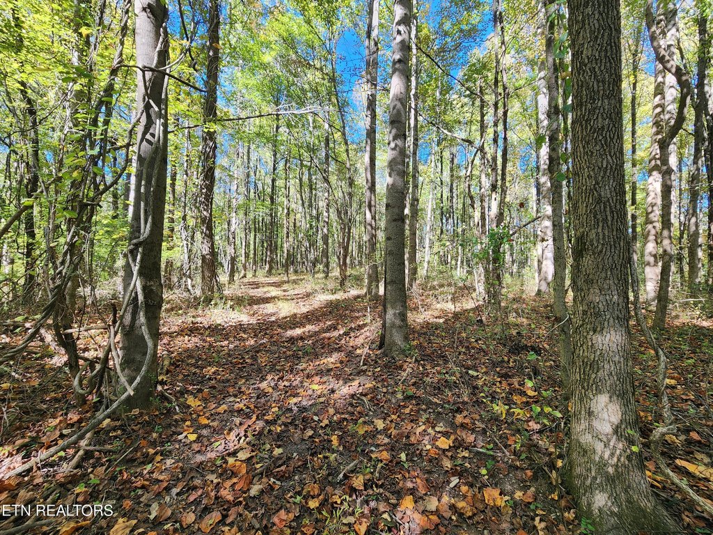 Picture 28