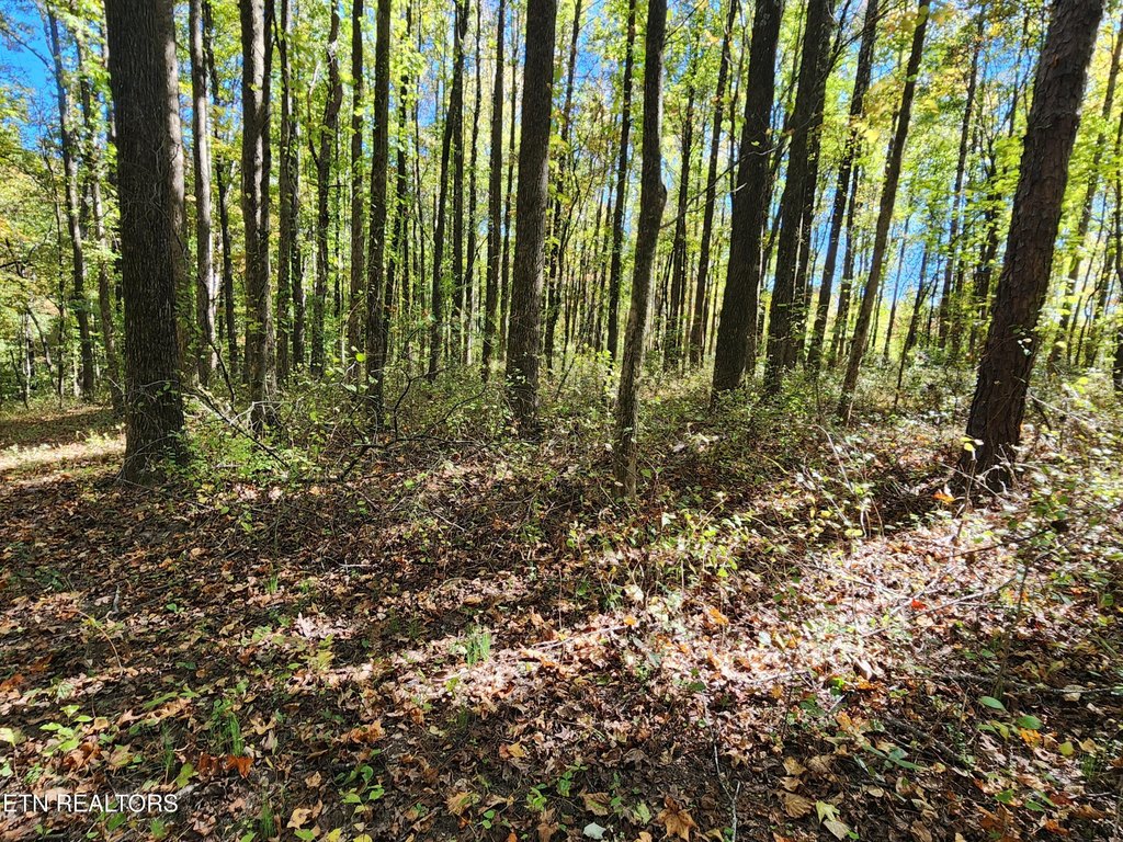 Picture 16